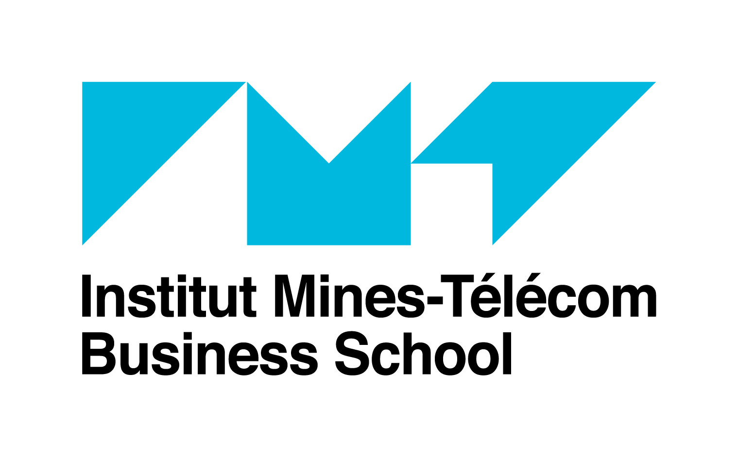 Insittut Mines-Télécom Business School